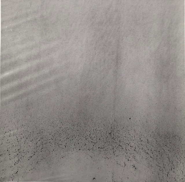 Untitled, Weed series (6)